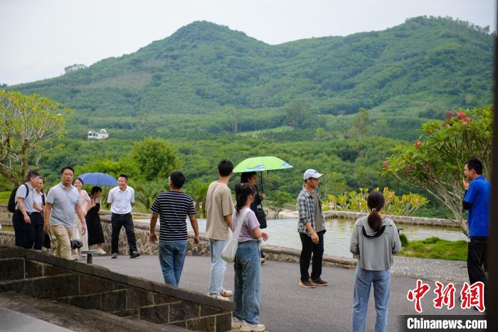 游客游覽嘉禾共享農(nóng)莊。