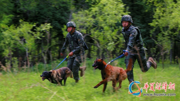 圖11：迅速抓捕 李建軍攝_副本