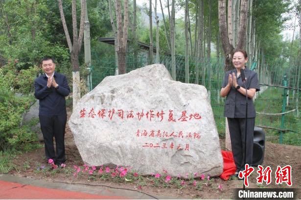 西寧南北山生態(tài)保護(hù)司法協(xié)作修復(fù)基地成立