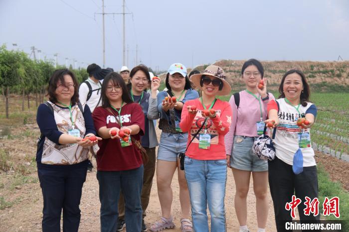 圖為臺(tái)胞體驗(yàn)大美內(nèi)蒙古。　托婭供圖