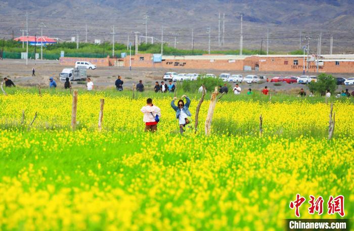 游客在油菜花海中拍照?！⊥锌诉d縣委宣傳部供圖