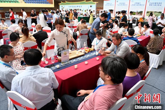 此次活動以“花樣漳州·烏龍茶香”為主題。圖為茶會現(xiàn)場參會嘉賓品茗聊天?！埥鸫?攝