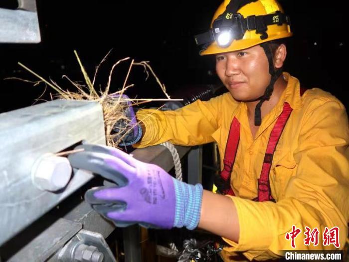 中老鐵路：深夜，“小黃人”幫小鳥搬“新家”