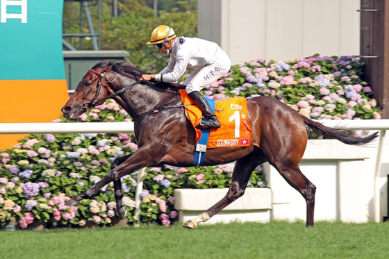 星級賽駒“金槍六十”三奪“香港馬王”殊榮。（香港賽馬會供圖）