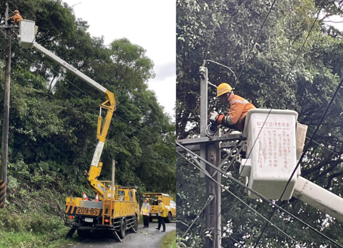 坪林大粗坑樹木壓在高壓在線造成停電事故