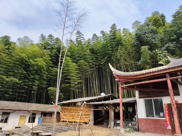 “金鐘玉鼓”鳴西蜀，彭州老君山文化傳承人王志強(qiáng)致力打造文旅目的地(圖4)