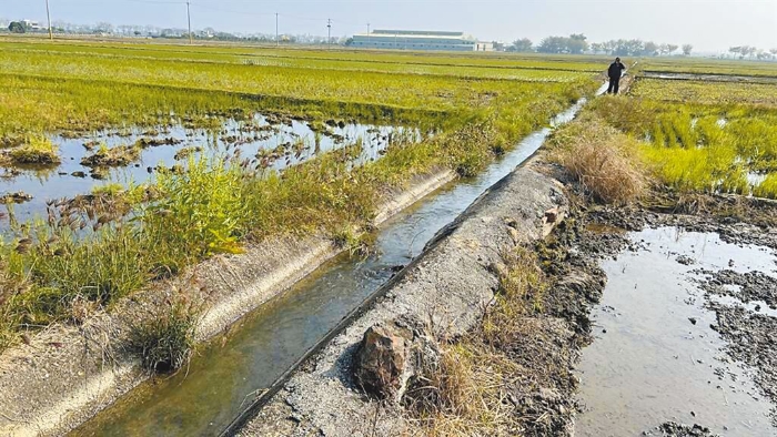 圖為臺南后壁農水路